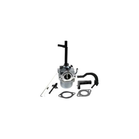 Lan Tonchean Vergaser 591378 Briggs & Stratton Schneepflug 699958 796321 696132 696133 Generator