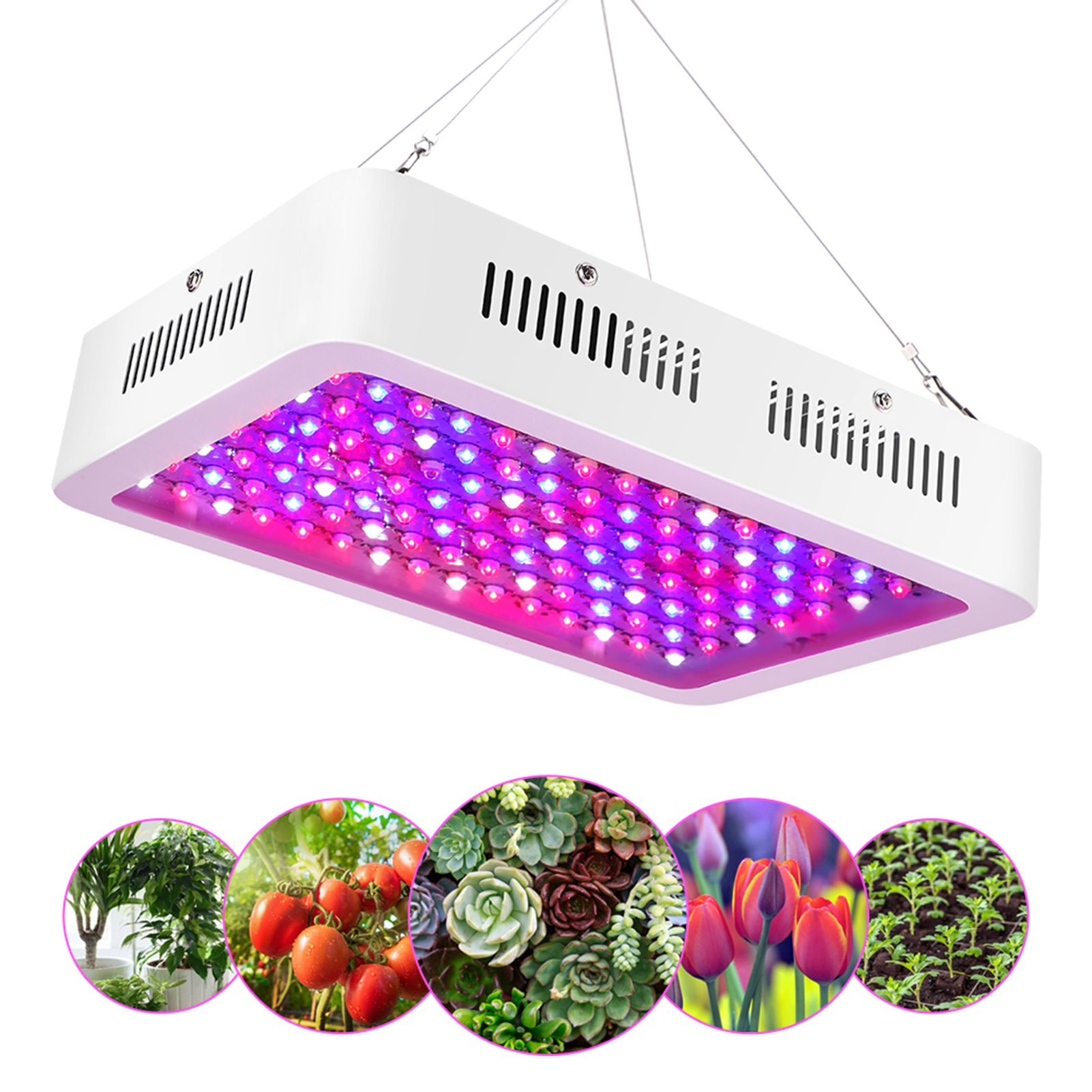 Vollspektrum-led-pflanzenlampe Mit Doppelschalter Für Zimmerpflanzen, Gemüse Und Blumen