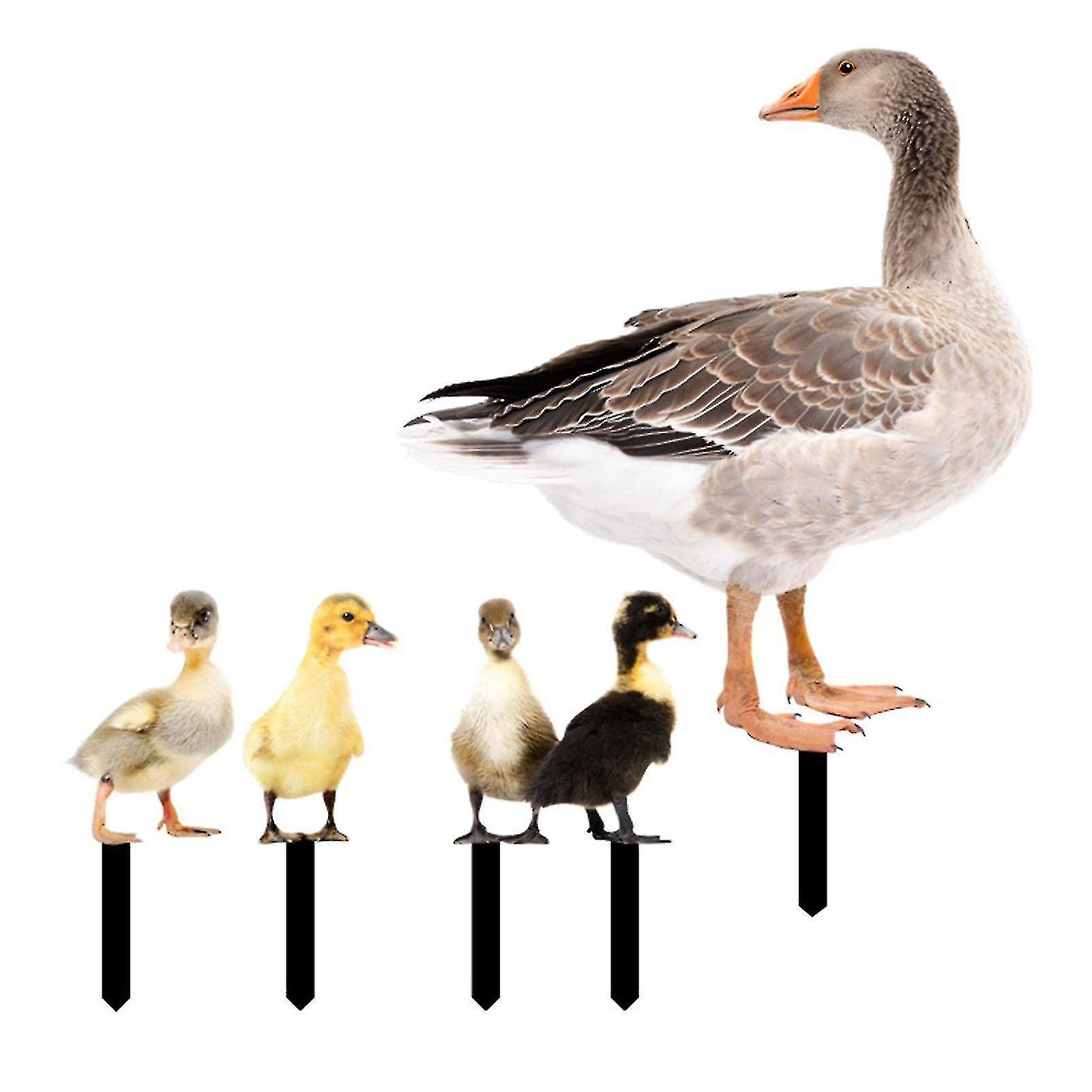 Farfi Enten-dekoration – Rustikale Acryl-geflügelstatue, Beidseitig Bedruckt, Realistisch Und Dekorativ – J