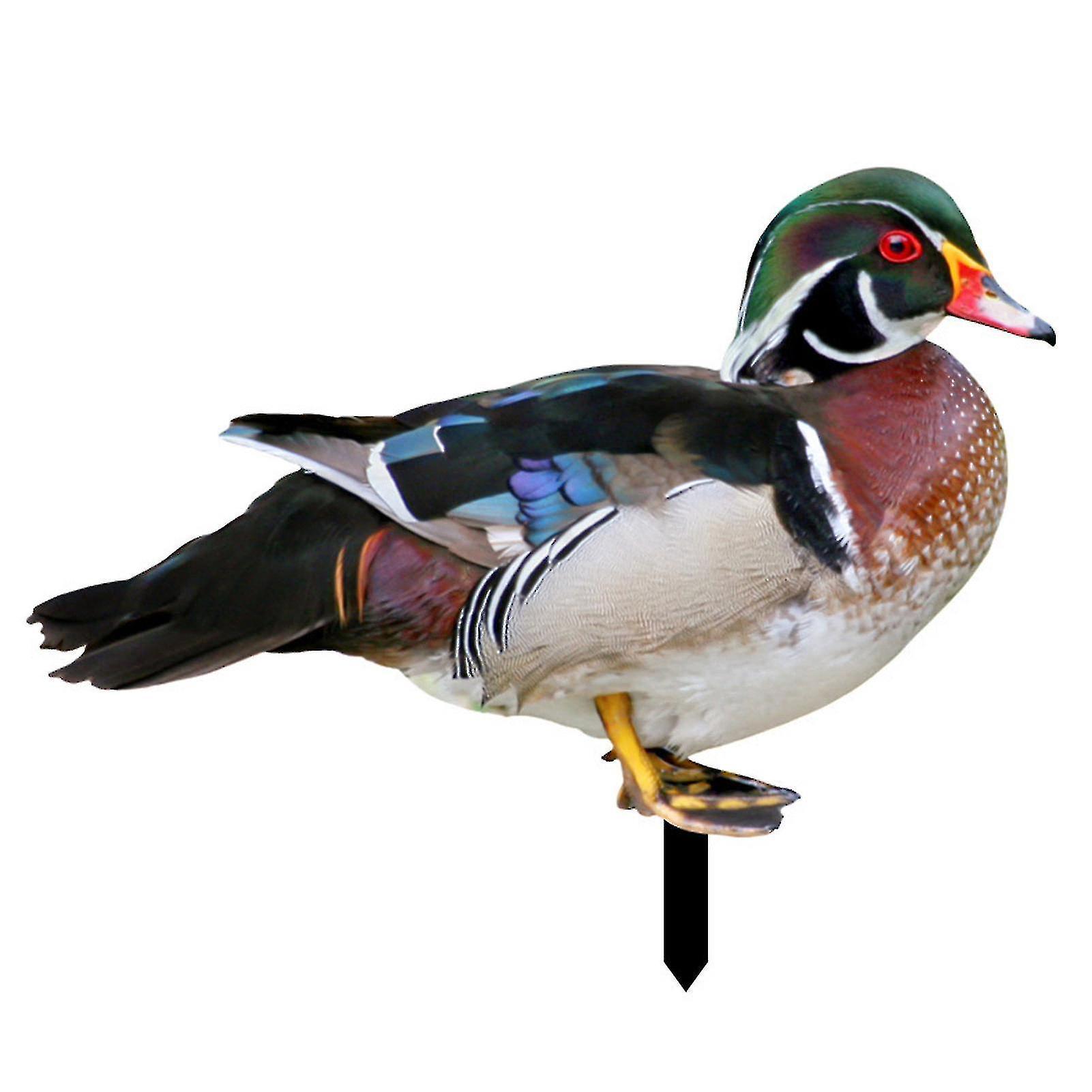 Realistische Und Dekorative Farfi-ente, Beidseitig Bedruckt, Rustikaler Stil, Acryl, Für Den Garten - H