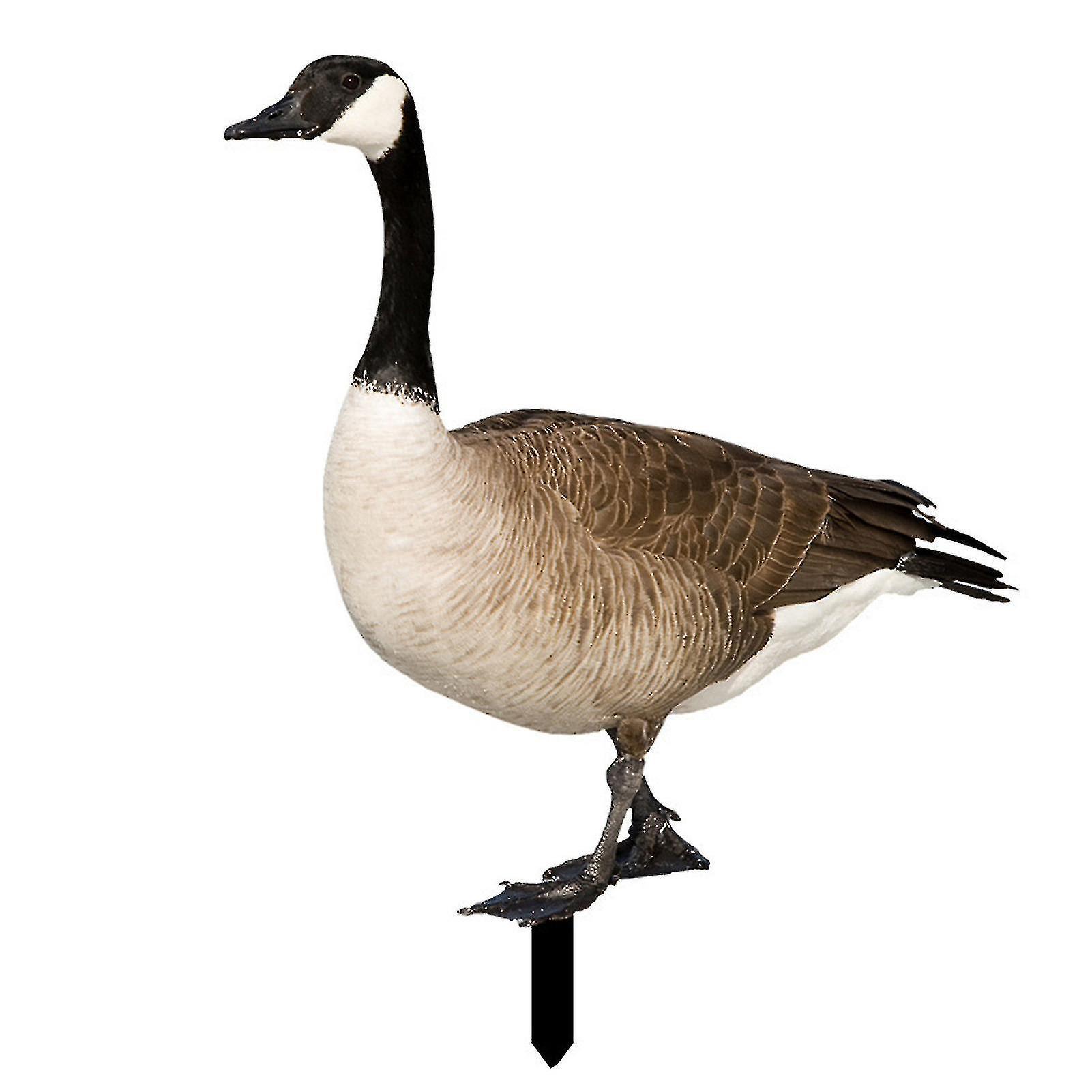 Realistische Und Dekorative Farfi-ente, Beidseitig Bedruckt, Rustikaler Stil, Acryl, Für Den Garten - G