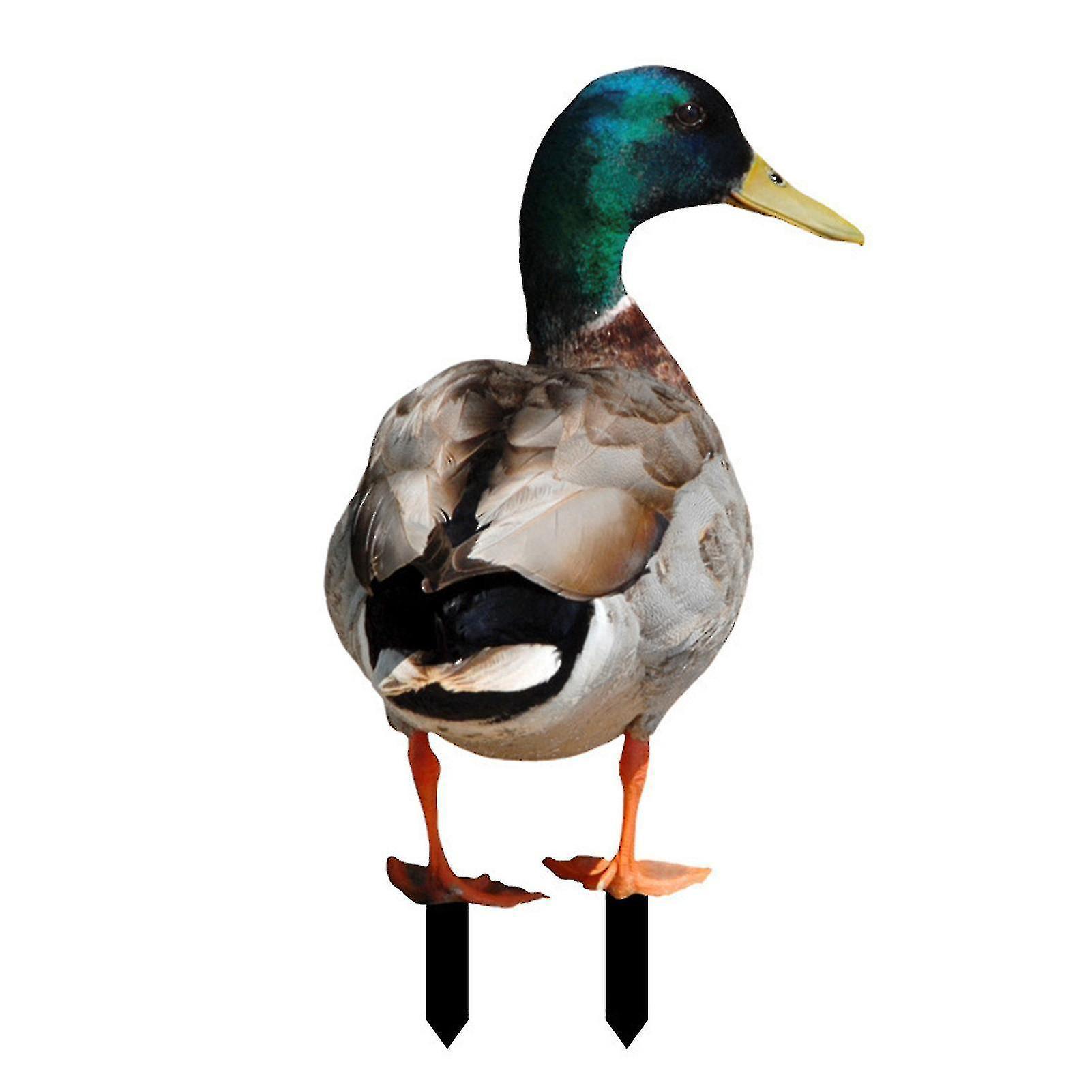 Farfi Entendekoration – Rustikale Acryl-geflügelstatue, Beidseitig Bedruckt, Realistisch Und Dekorativ, Für Den Garten – D