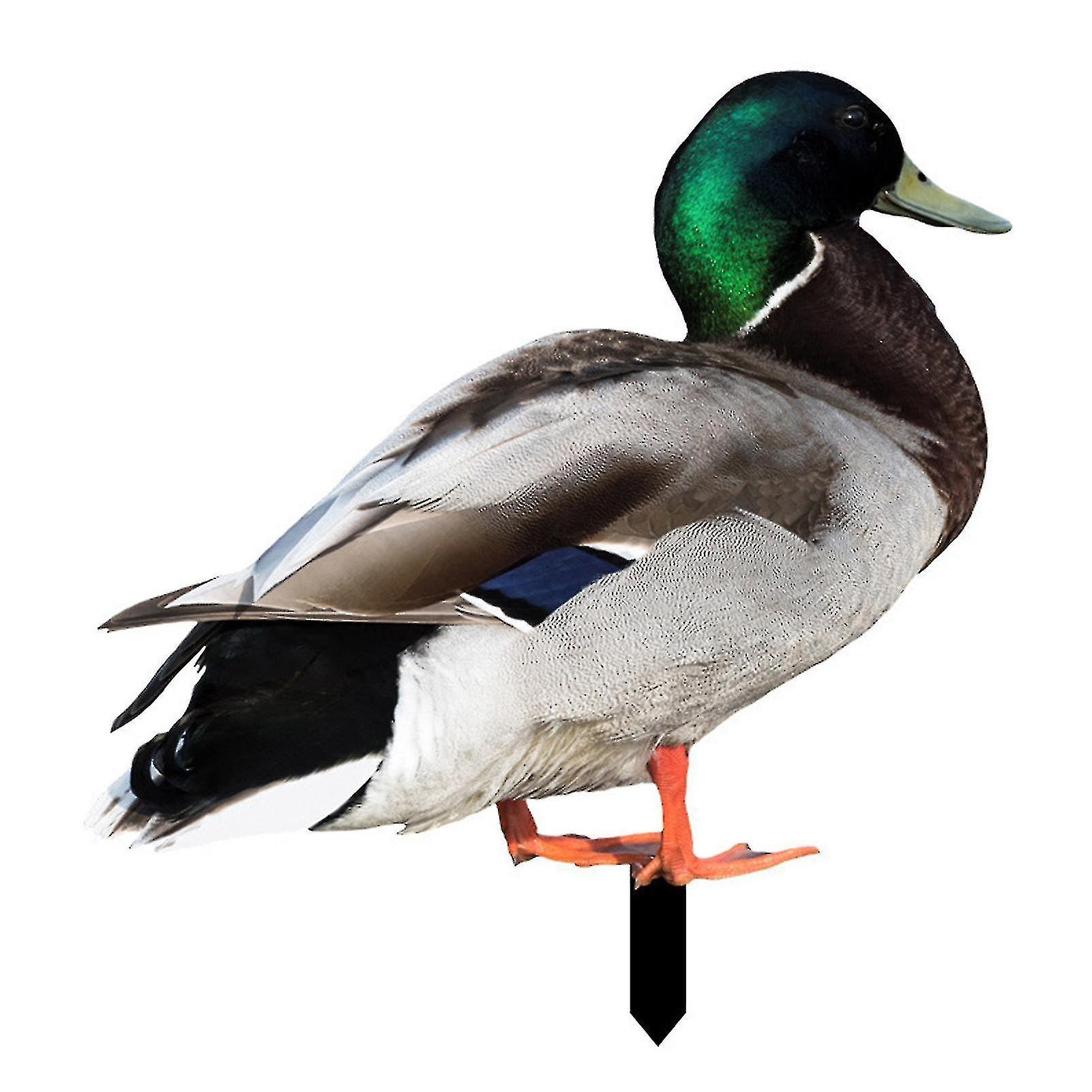 Realistische Und Dekorative Farfi-ente, Beidseitig Bedruckt, Rustikaler Stil, Acryl, Für Den Garten - C