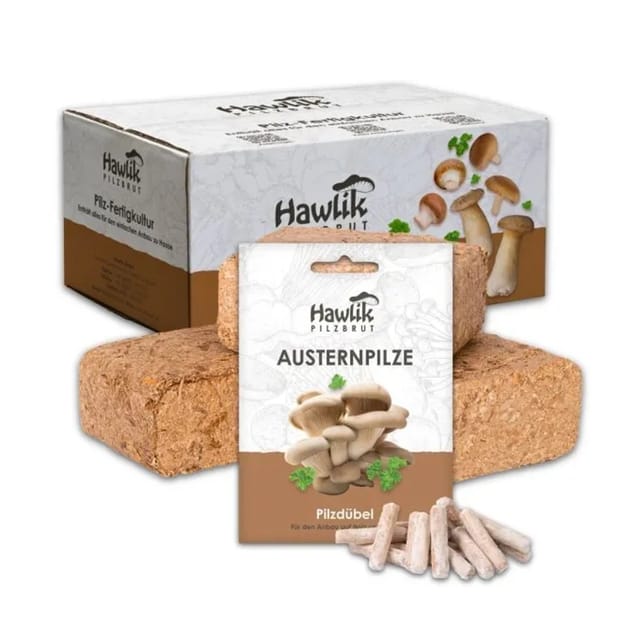 Hawlik Pilzbrut Austernpilz Pilzbeet-Set für Einfache Pilzzucht Im Garten mit Substrat und Myzel inkl. Anbau-Anleitung