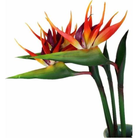 Set Mit 3 Großen Paradiesvogelblumen – 81,3 Cm – Uv-beständige, Langlebige Blumen – Farbecht – Aus Weichem Gummi – Künstliche Pflanzen Für Zuhause Und Büro