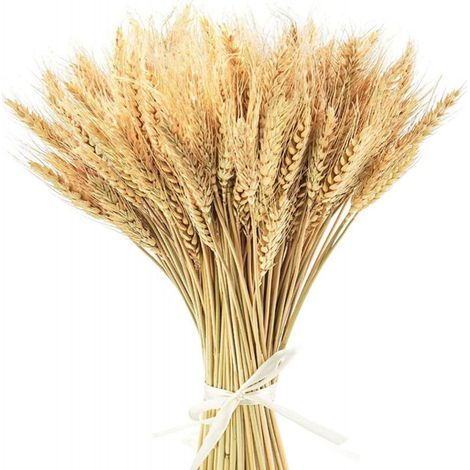 100 Stück Getrocknete Weizensträuße, Natürliche Getrocknete Weizenblüten, Dekoration Für Balkon, Wohnung, Tisch, Blumenarrangement, 40 Cm
