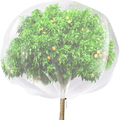 Insektennetz, Schutznetz Für Obstbäume, Wiederverwendbar, Zum Schutz Von Pflanzen (100x120cm).