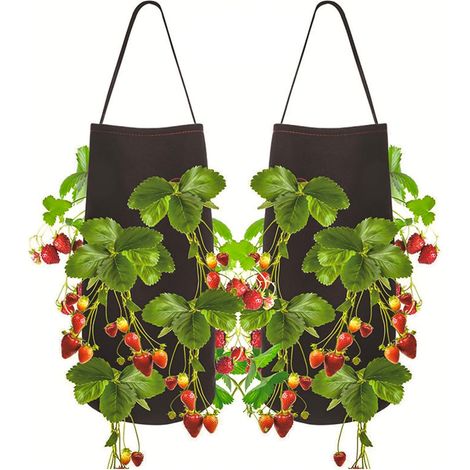 Set Aus 2 Pflanzsäcken Für Erdbeeren, Kartoffeln Und Gemüse, Mit Sichtfenster Und Griff, Für Erdbeeren, Tomaten Und Anderes Gemüse.