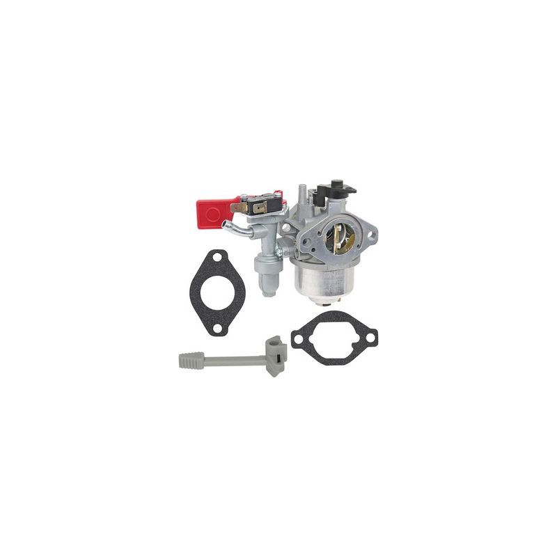 Vergaser 799060 Für Briggs & Stratton Vanguard Motor – Oem 84004885, Originalteil, Hohe Leistung