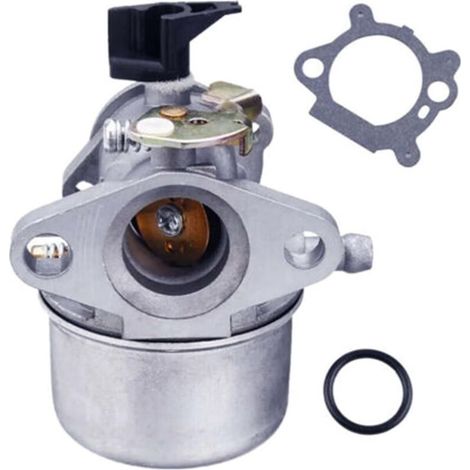 Vergaser Für Briggs & Stratton 122h02, 127702 – Quantum – Dichtungssatz 498965, 698056