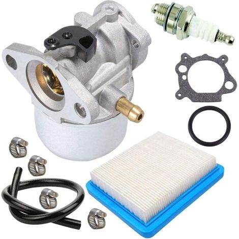 Vergaser Für Briggs & Stratton 498170, 799872, 694202 – 498254, 497586, 799868