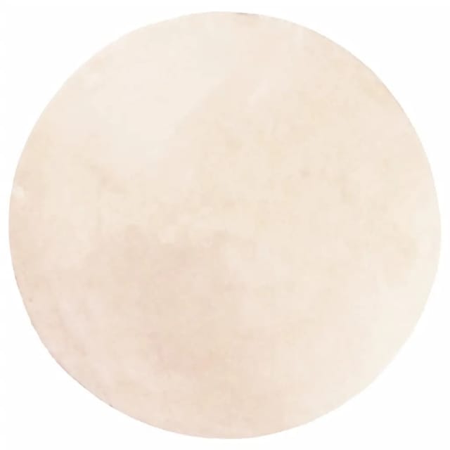 vidaXL Teppich HUARTE Kurzflor Weich und Waschbar Beige Ø 200 cm 375031
