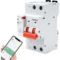 63-a-fehlerstromschutzschalter, Tuya Smart Wifi-schutzschalter, Wifi-schalter Mit Wiedereinschaltschutz, Über- Und Unterspannungsschutz, 230 V, 2-polig