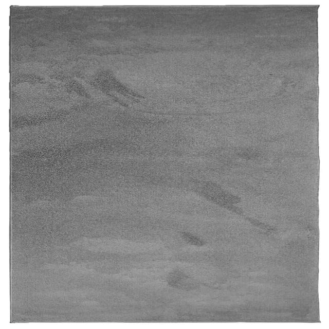 vidaXL Teppich OVIEDO Kurzflor Anthrazit 240x240 cm 375474