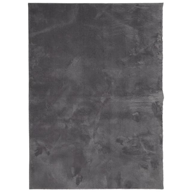 vidaXL Teppich HUARTE Kurzflor Weich und Waschbar Anthrazit 140x200 cm 375001