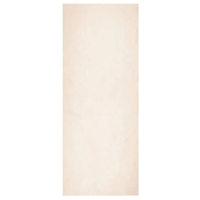 vidaXL Teppich HUARTE Kurzflor Weich und Waschbar Beige 80x200 cm 375015