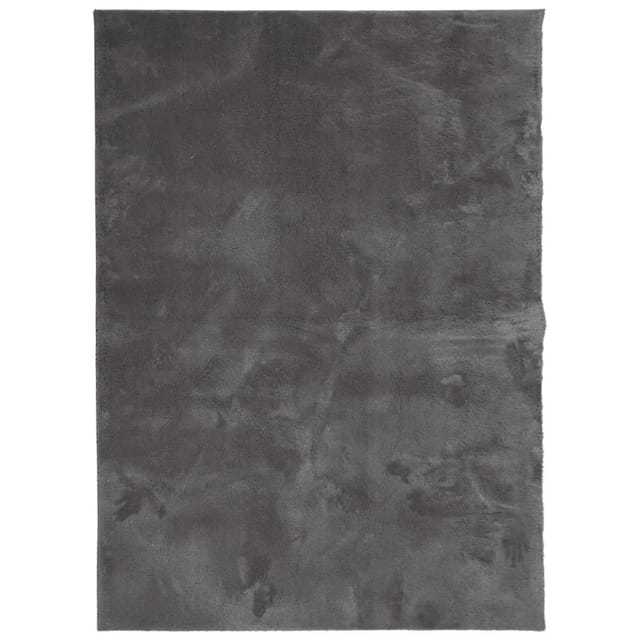 vidaXL Teppich HUARTE Kurzflor Weich und Waschbar Anthrazit 120x170 cm 375000