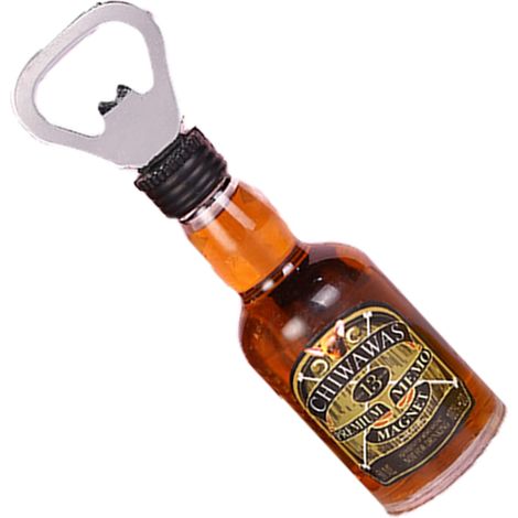 Magnetischer Flaschenöffner – Edelstahl – Für Kühlschrank, Küche, Bar, Landhausstil – 1 Stück