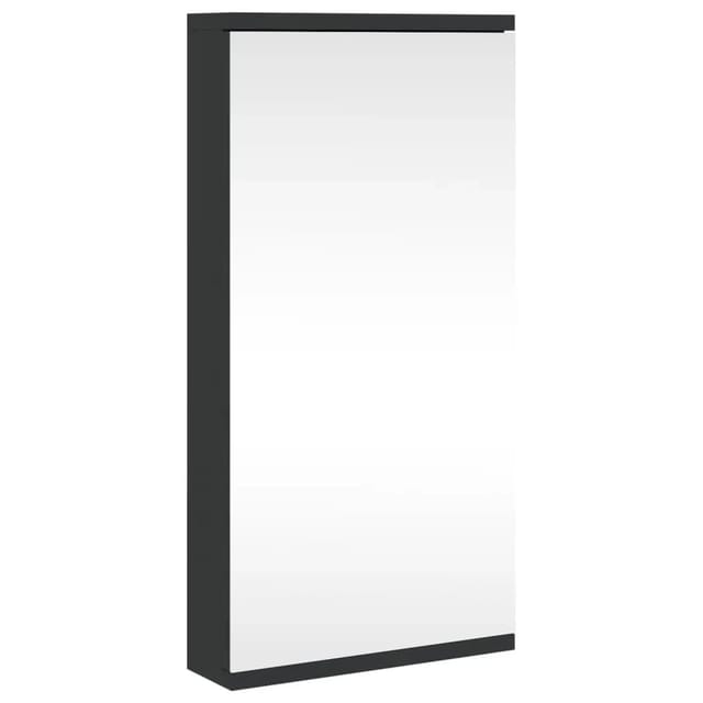 vidaXL Eck-Spiegelschrank Schwarz 30x24x60 cm 357979