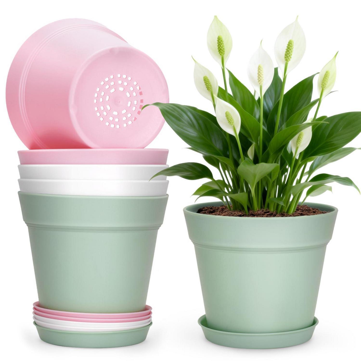 6er Set Blumentöpfe Mit Untersetzer 15cm, Kunststoff Pflanztopf Für Kakteen & Kräuter