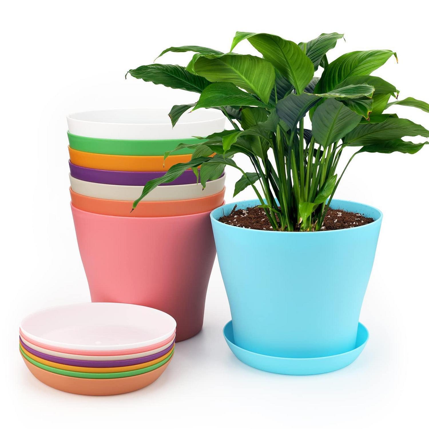 8er Set Blumentöpfe 14cm Mit Untersetzern, Kunststoff, Mehrfarbig
