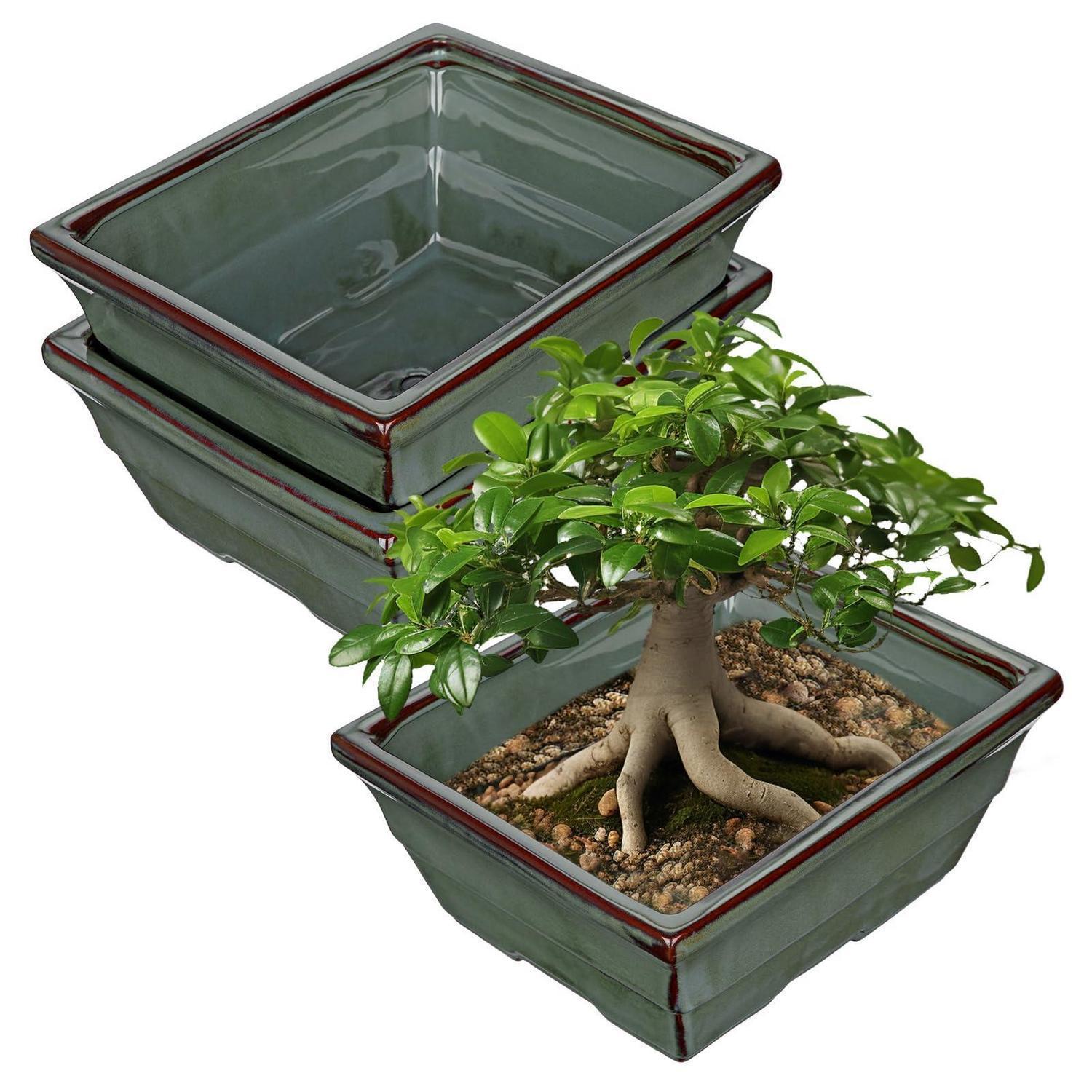 2er-set Keramik Bonsai-töpfe Mit Entwässerungsloch, Flache Pflanzschalen 25.5cm