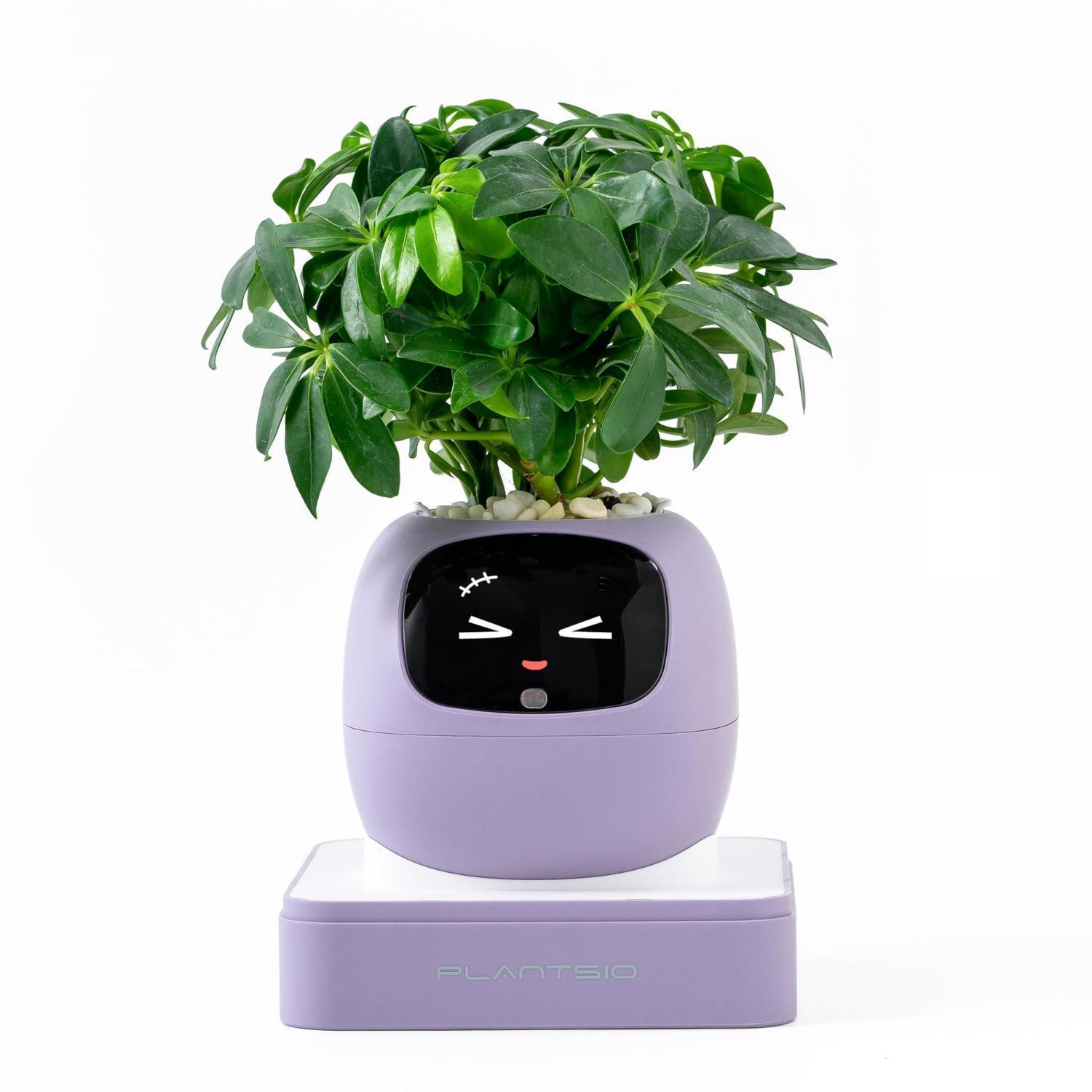 Smarter Blumentopf Mit Ki-display, Interaktive Pflanzenpflege, Deko Für Zuhause, Blush Pink