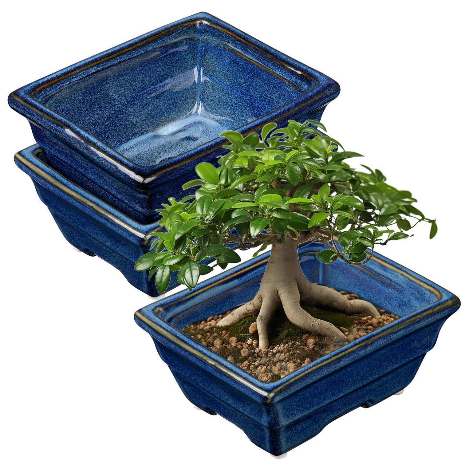 2er Set Keramik Bonsai Töpfe Mit Entwässerungsloch, Flache Pflanzschalen Blau