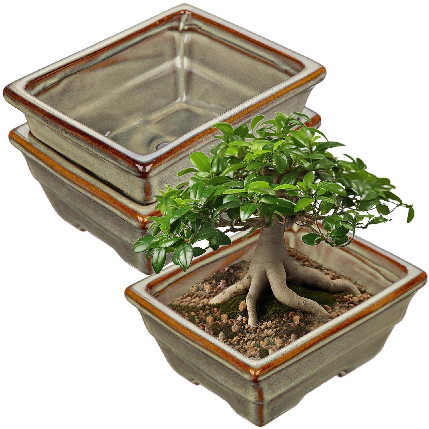 2er-set Keramik Bonsai-töpfe Mit Entwässerungsloch, Flache Pflanzschalen Für Zimmerpflanzen