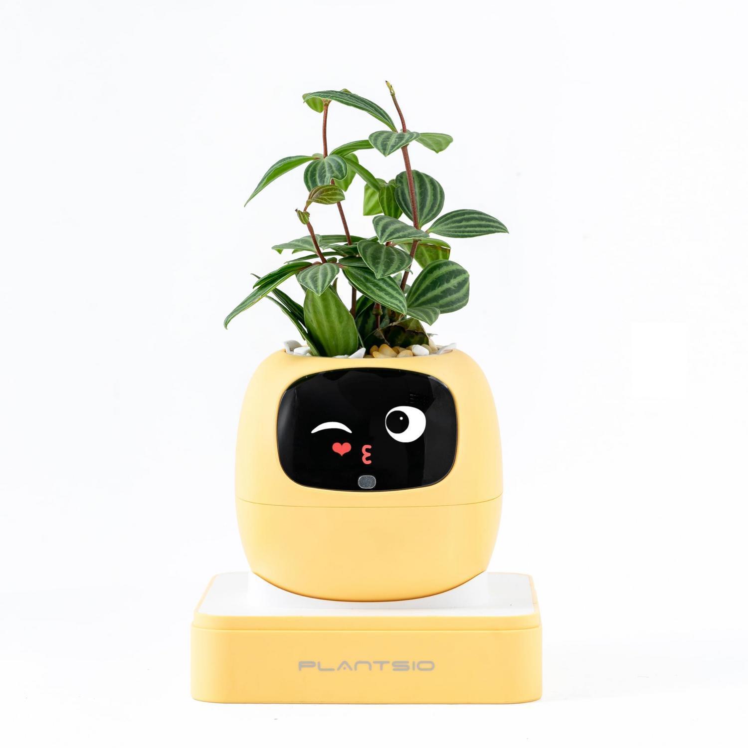Ai Smart Blumentopf Mit Emoji, Intelligenter Pflanzer Roboter Für Zimmerpflanzen