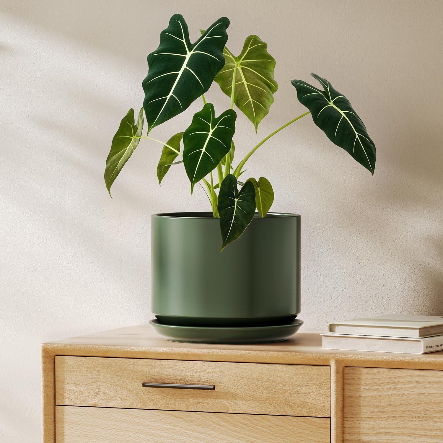 Keramik-blumentopf 20cm Mit Untersetzer, Grün, Für Zimmerpflanzen