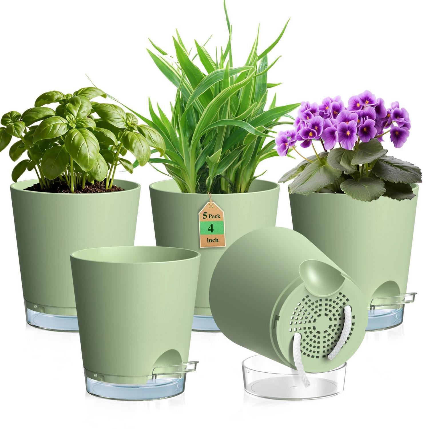 5er Set Selbstbewässerungstöpfe Ø 10 Cm Mit Wasserstandsanzeige Und Docht