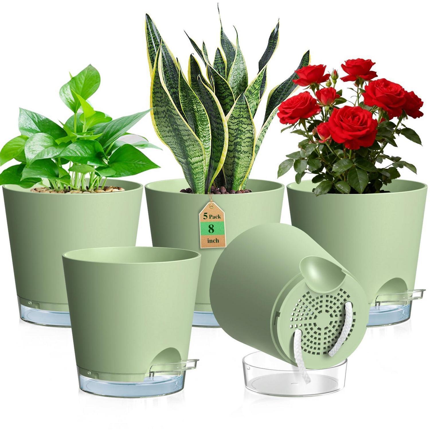 5er Set Selbstbewässerungstöpfe Ø 20 Cm Mit Wasserstandsanzeige & Docht
