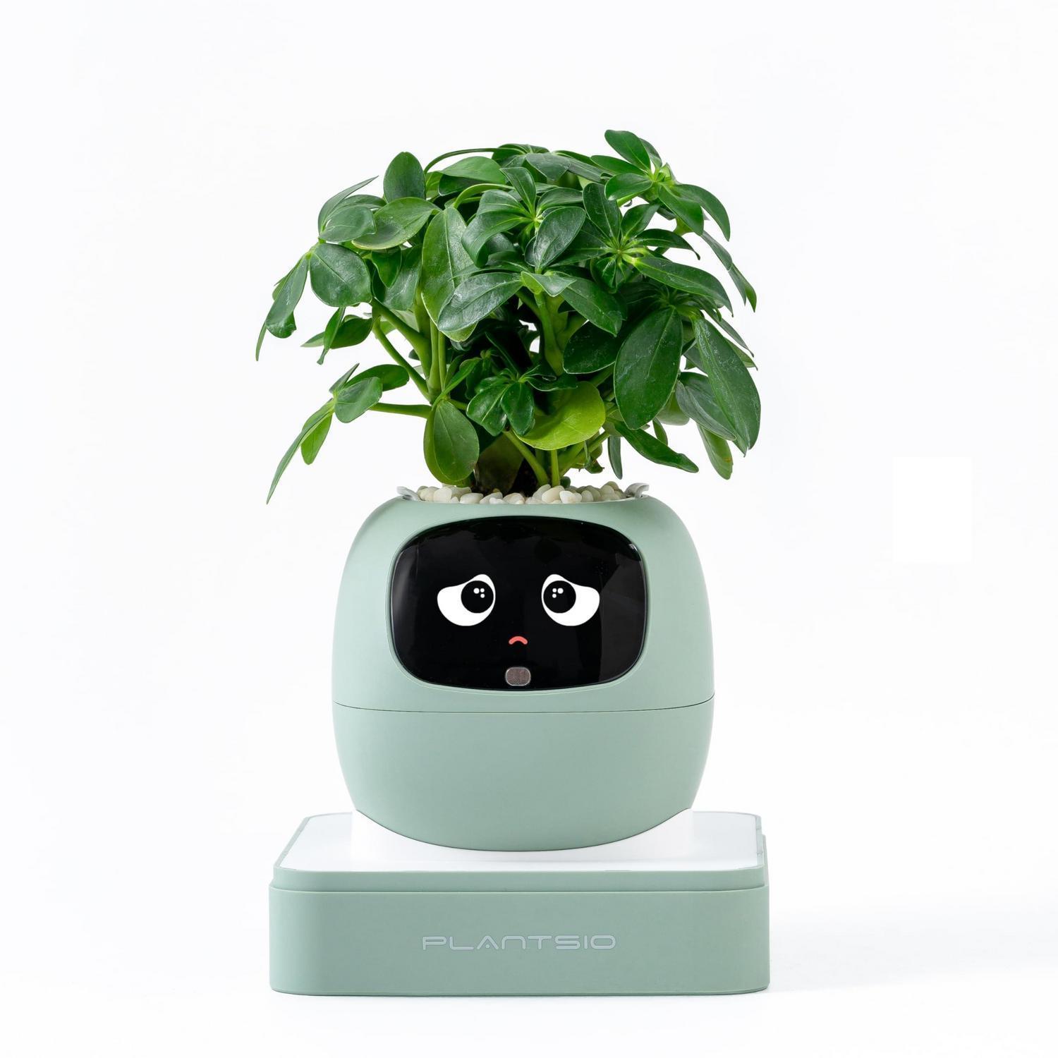 Intelligenter Blumentopf Mit Ki Und Emoji-display, Mintgrün