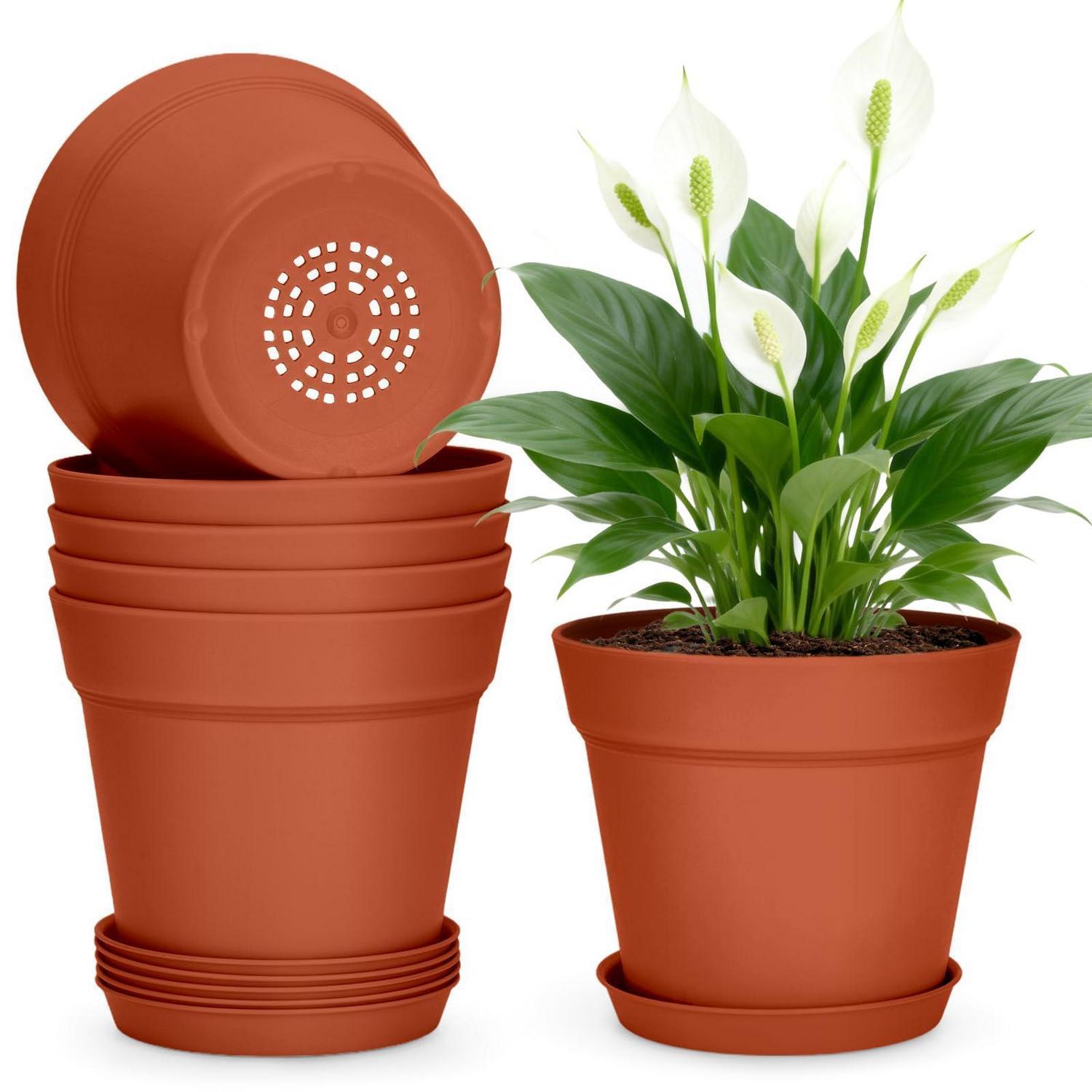 6er Set Blumentöpfe 15cm Mit Untersetzer, Kunststoff Pflanztöpfe Klein Für Kakteen & Kräuter
