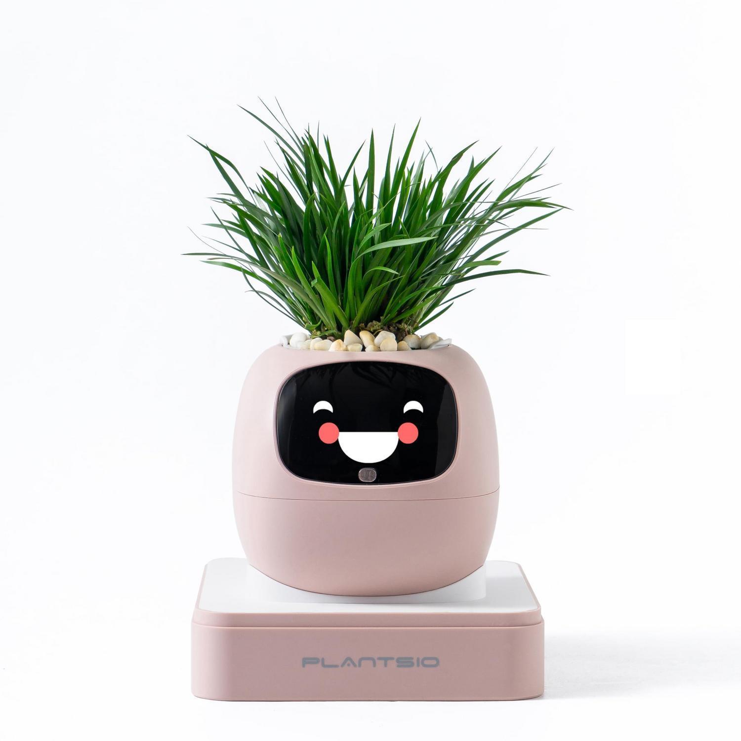 Intelligenter Blumentopf Mit Ki-pflege Und Emoji-display, Rosa