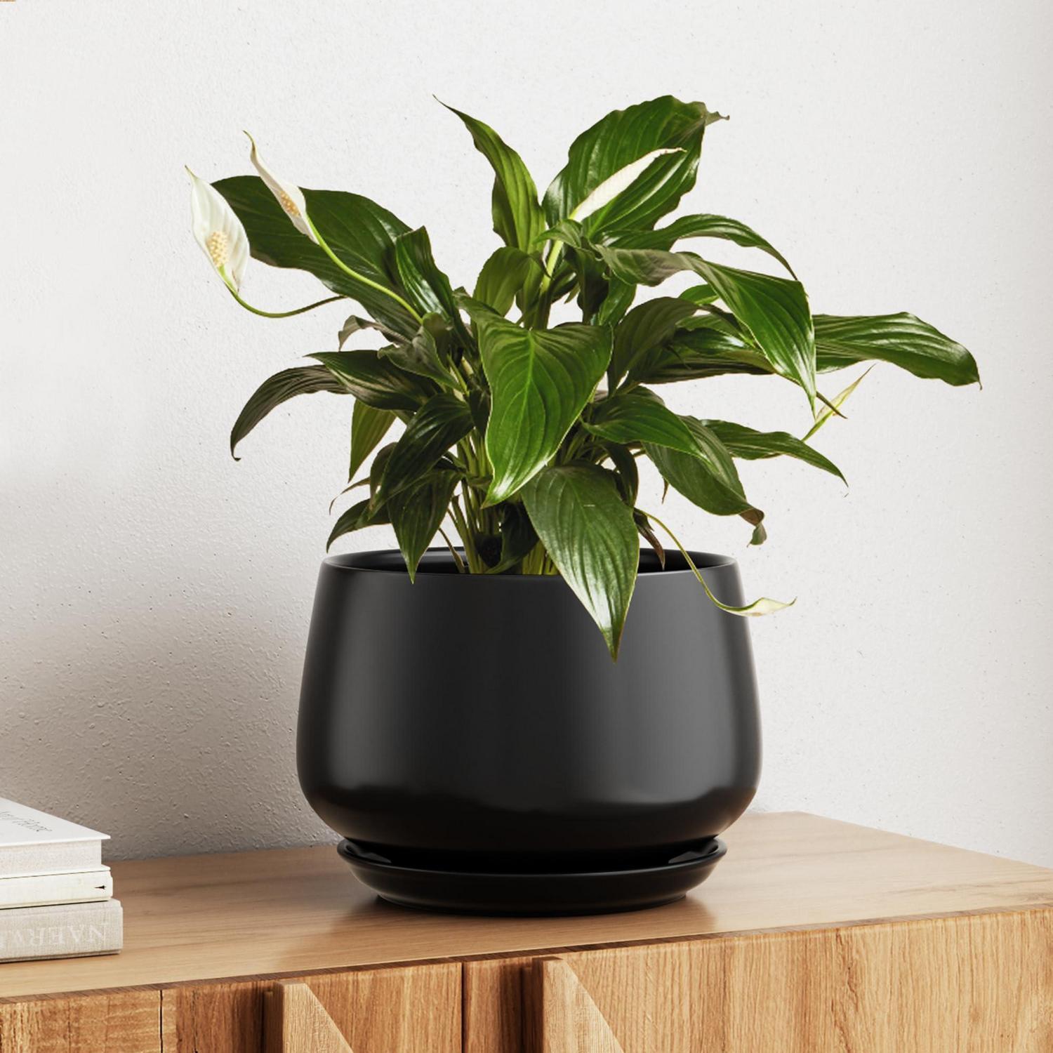 Keramik Blumentopf 25 Cm Mit Untersetzer, Schwarz, Für Innenbereiche