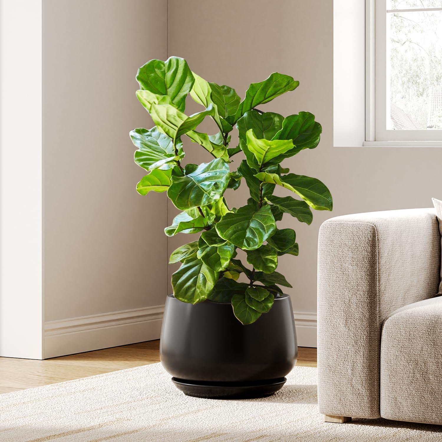 Keramik Blumentopf Mit Untersetzer, 30 Cm, Schwarz