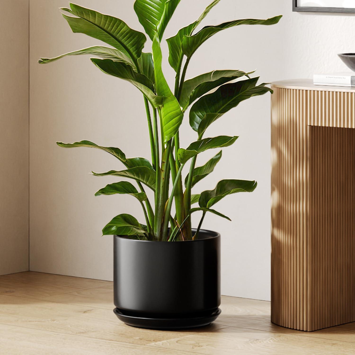 Keramik Blumentopf Groß 30cm Mit Untersetzer Und Abflussloch, Schwarz
