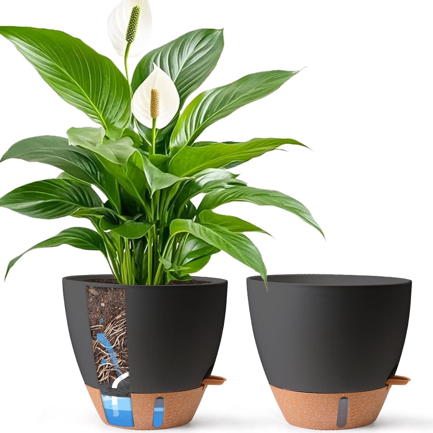 Selbstbewässernder Blumentopf 30cm Schwarz Mit Wasserstandsanzeige (2er Set)