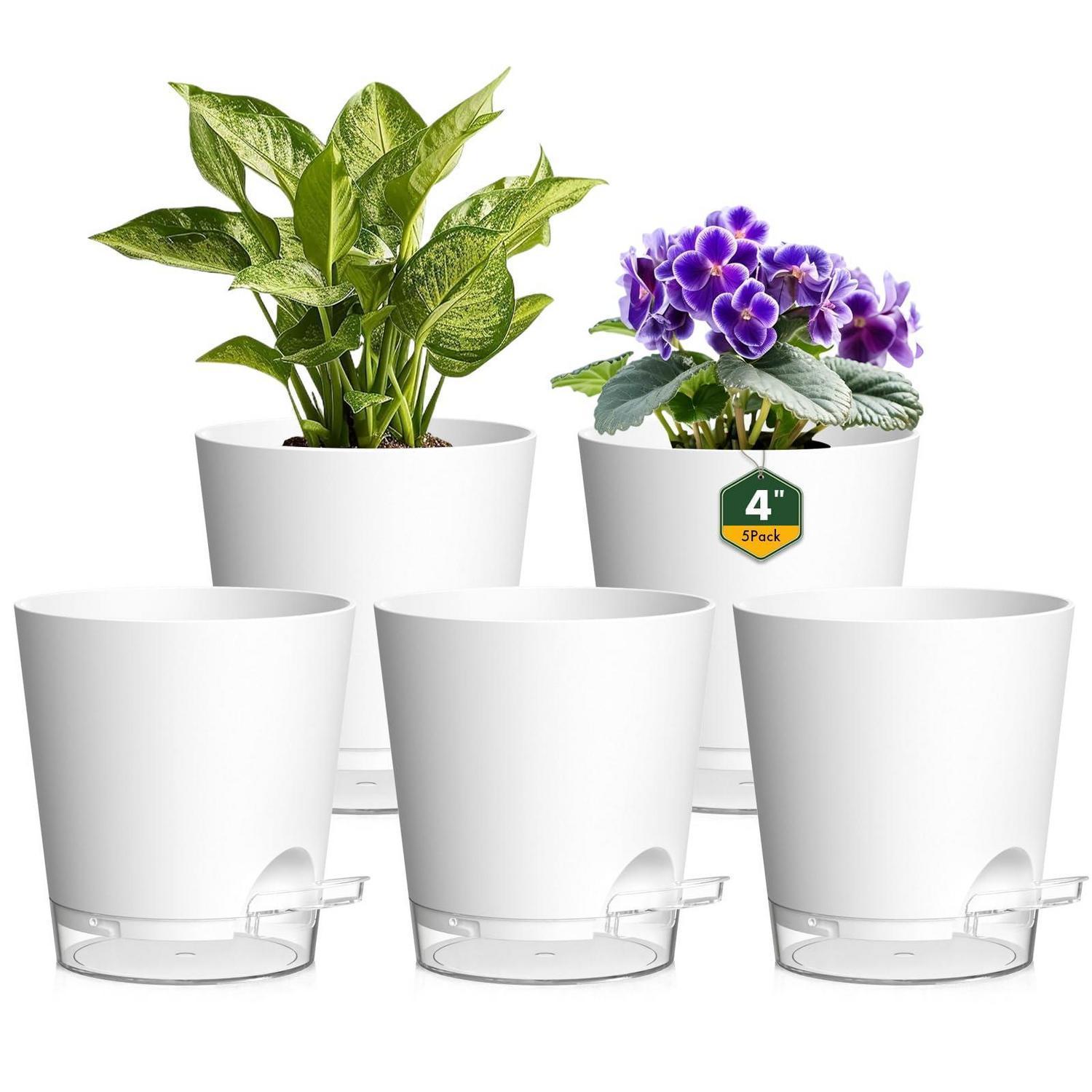 5er Set Selbstbewässerungstöpfe 10cm Weiß-klar Mit Untersetzer Für Zimmerpflanzen & Kräuter