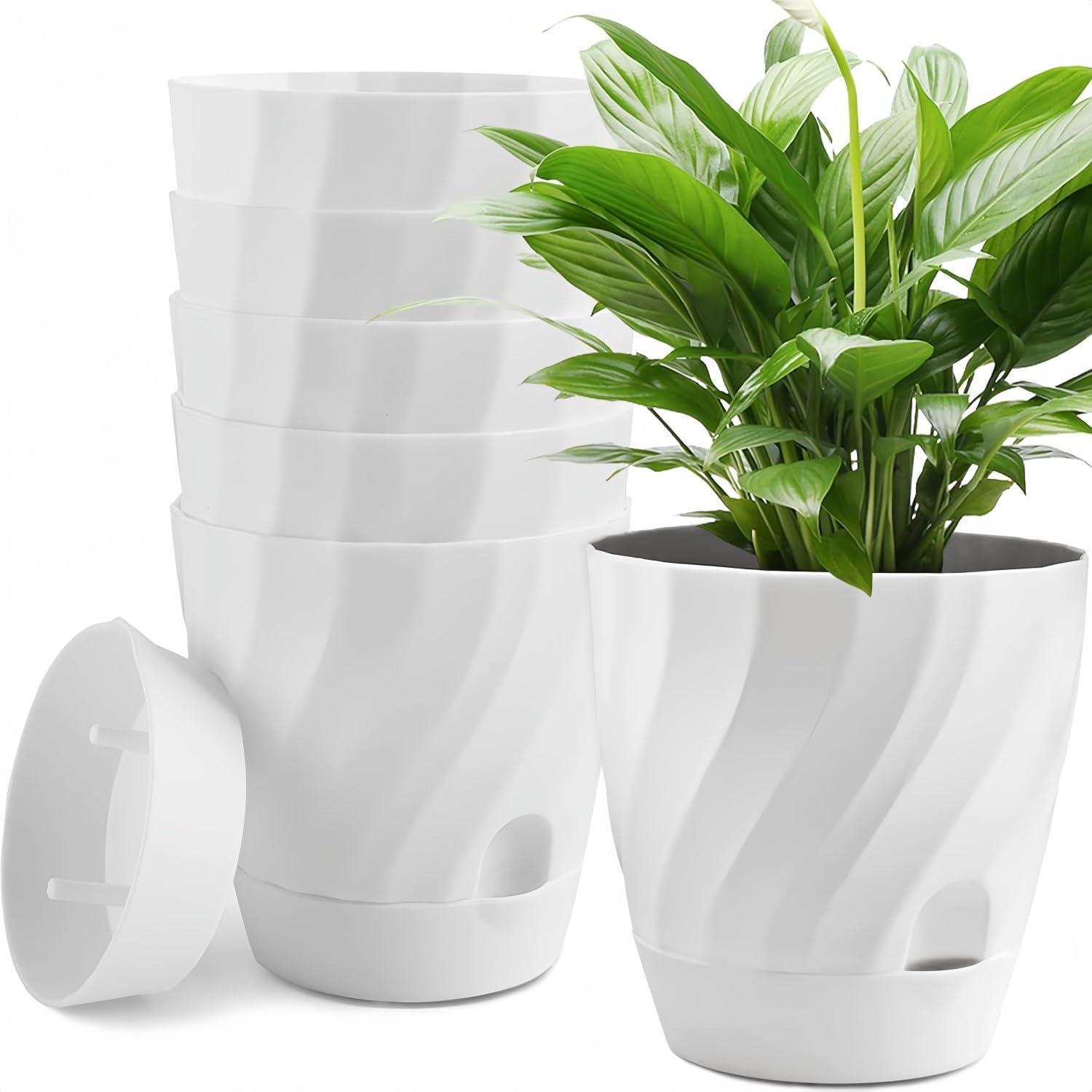 6er Set Selbstbewässernde Blumentöpfe 12cm Mit Untersetzer Für Sukkulenten & Kräuter
