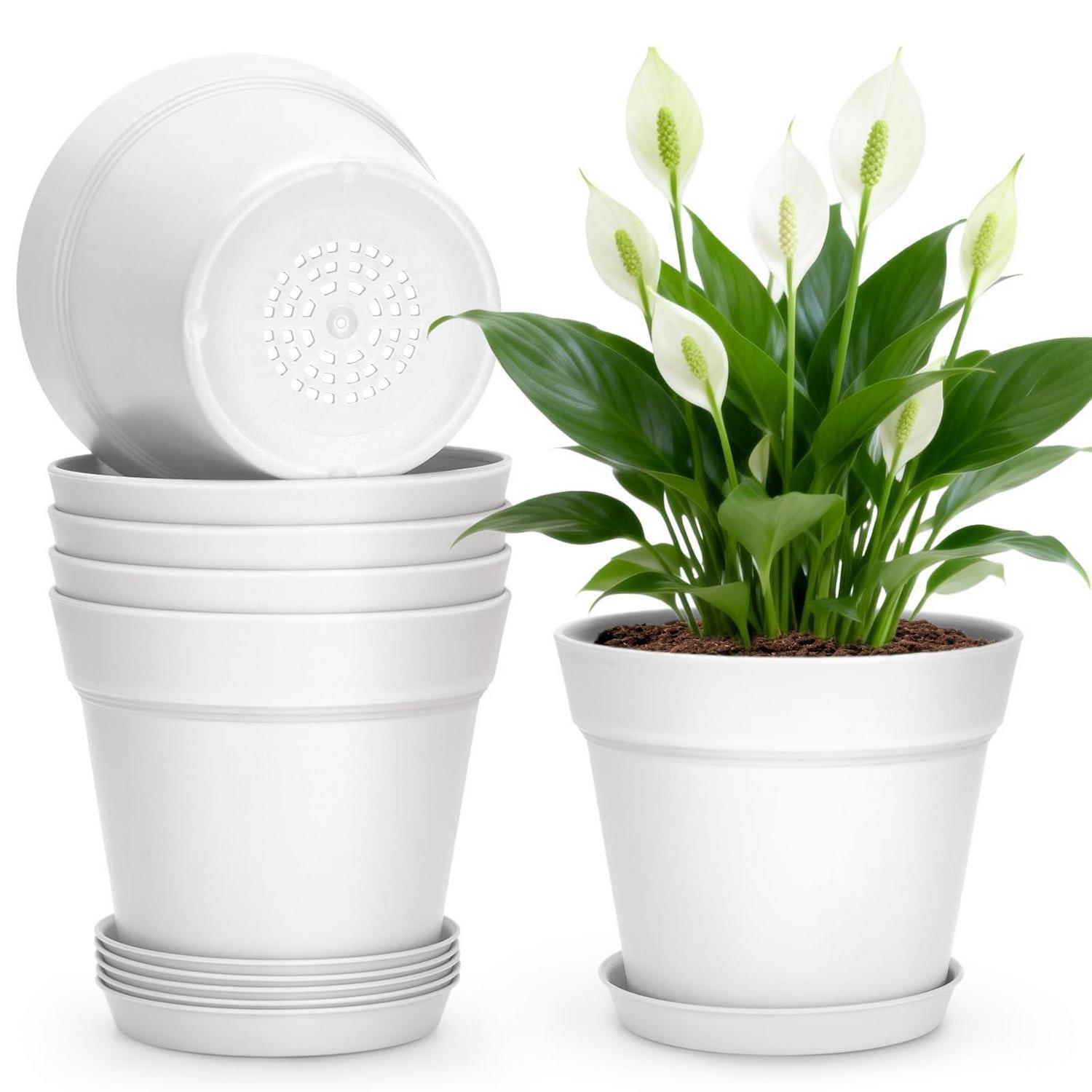 6er Set Blumentöpfe Mit Untersetzer 15cm Weiß Für Kakteen & Kräuter