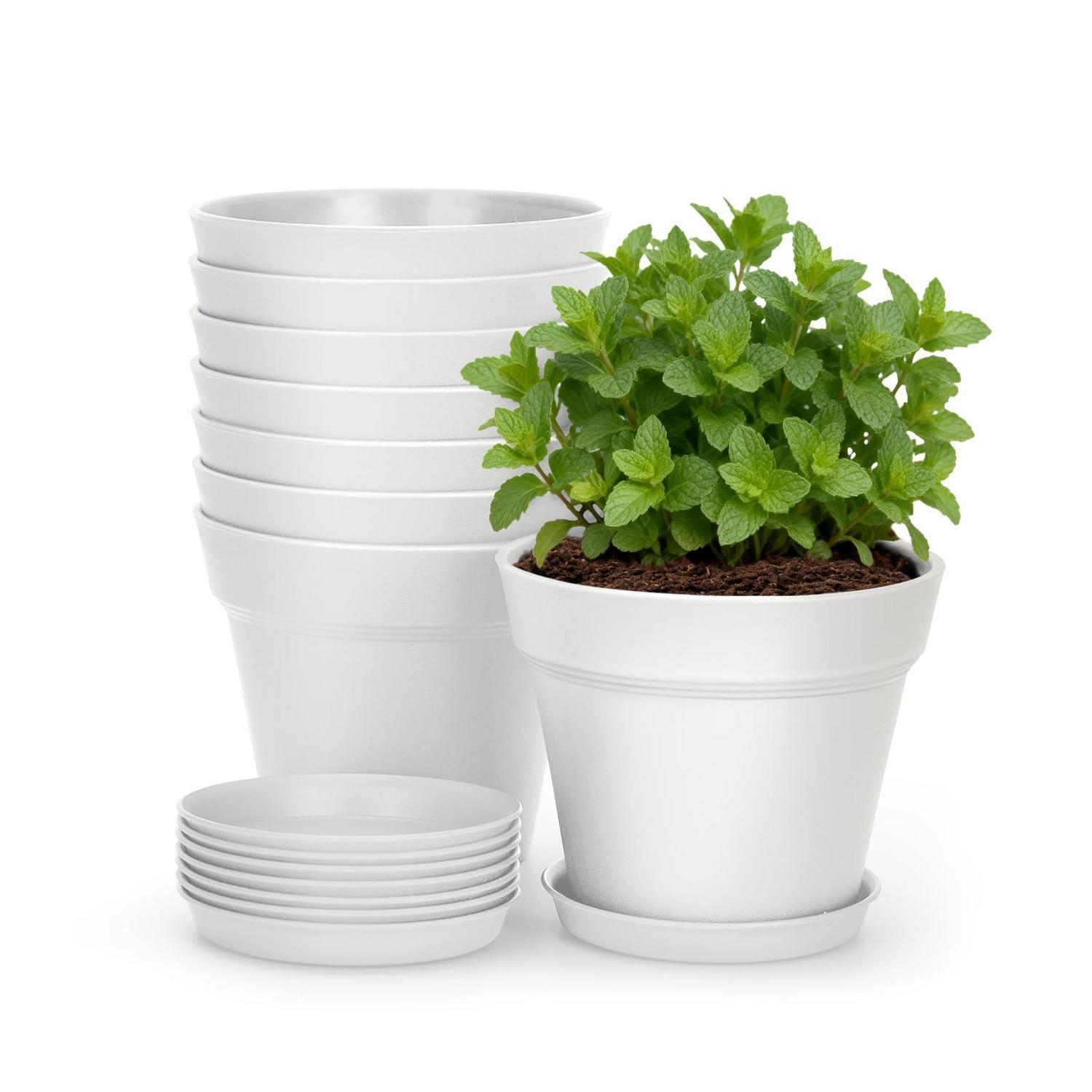 8er Set Blumentöpfe Mit Untersetzer 10cm Weiß Für Kakteen & Kräuter