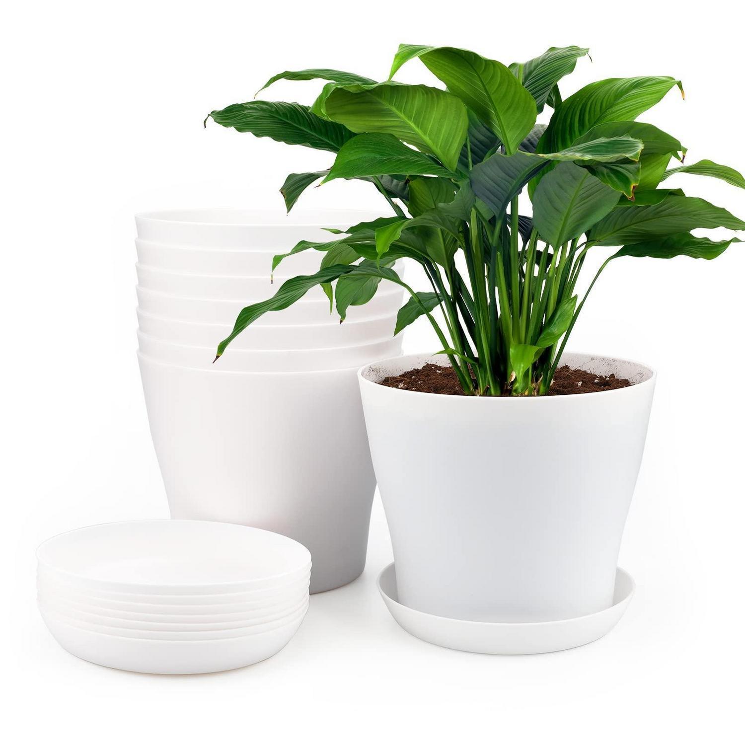 8er Set Blumentöpfe 17cm Weiß Mit Untersetzern Für Pflanzen & Sukkulenten