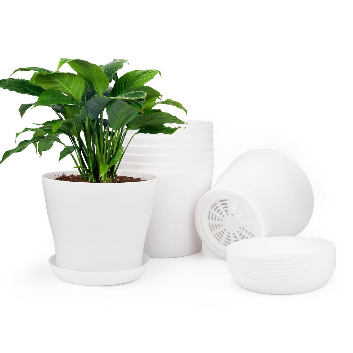 8er Set Blumentöpfe 10cm Weiß Mit Untersetzer, Kunststoff Pflanztöpfe Für Kakteen