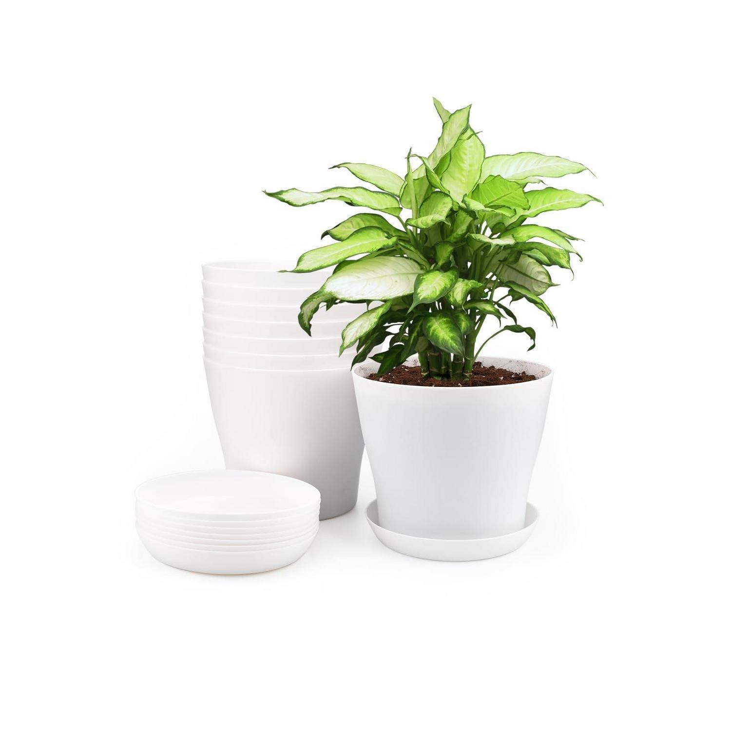 8er Set Blumentöpfe 14cm Weiß Mit Untersetzern, Pflanztöpfe Für Kakteen & Sukkulenten