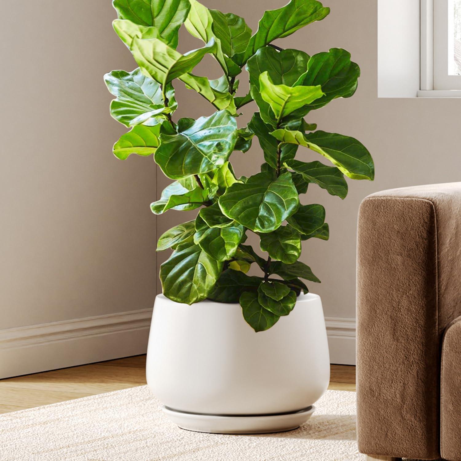Blumentopf Keramik 30 Cm Mit Untersetzer, Mattweiß, Für Innenbereiche