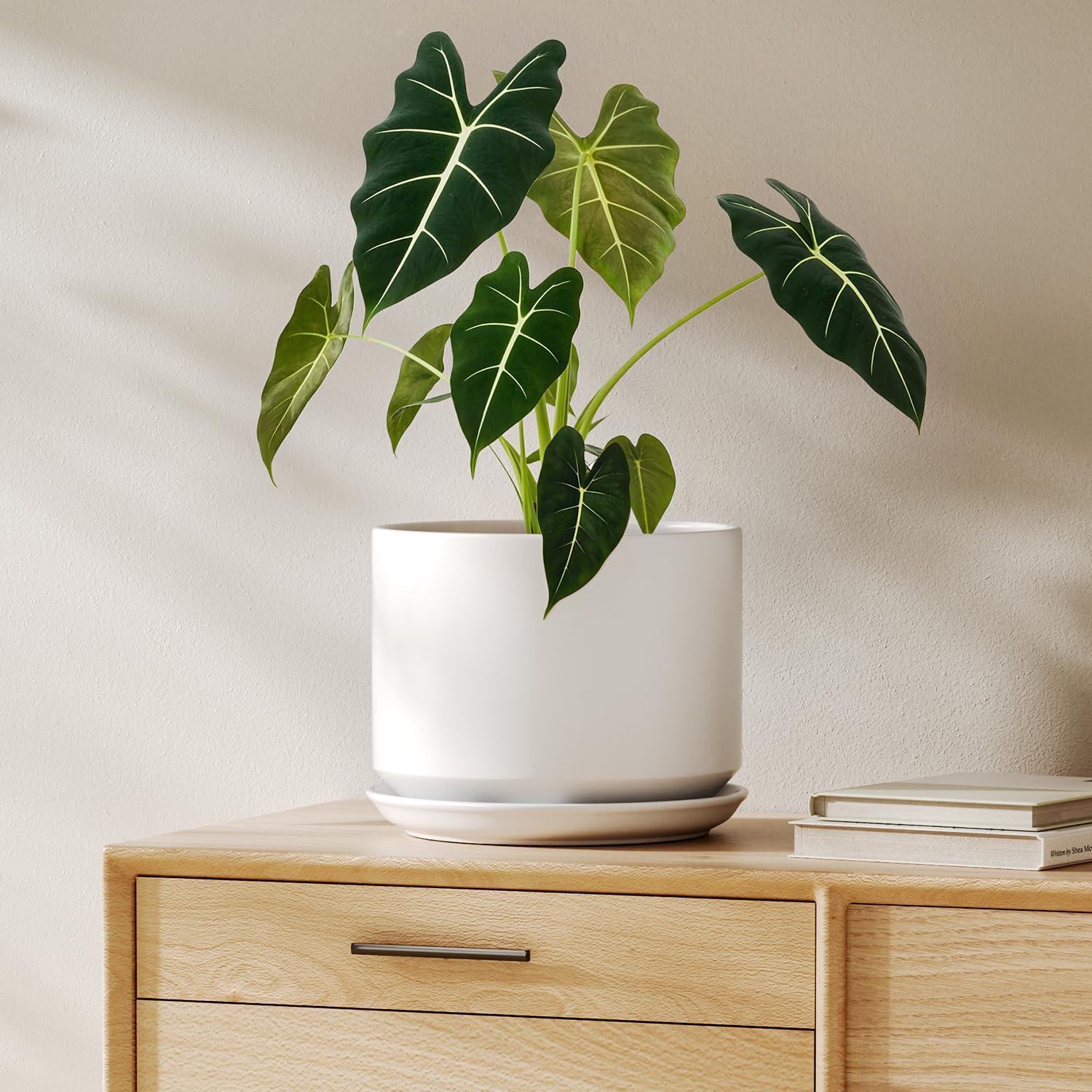 Keramik-blumentopf 20cm Mit Untersetzer, Weiß, Mit Drainageloch