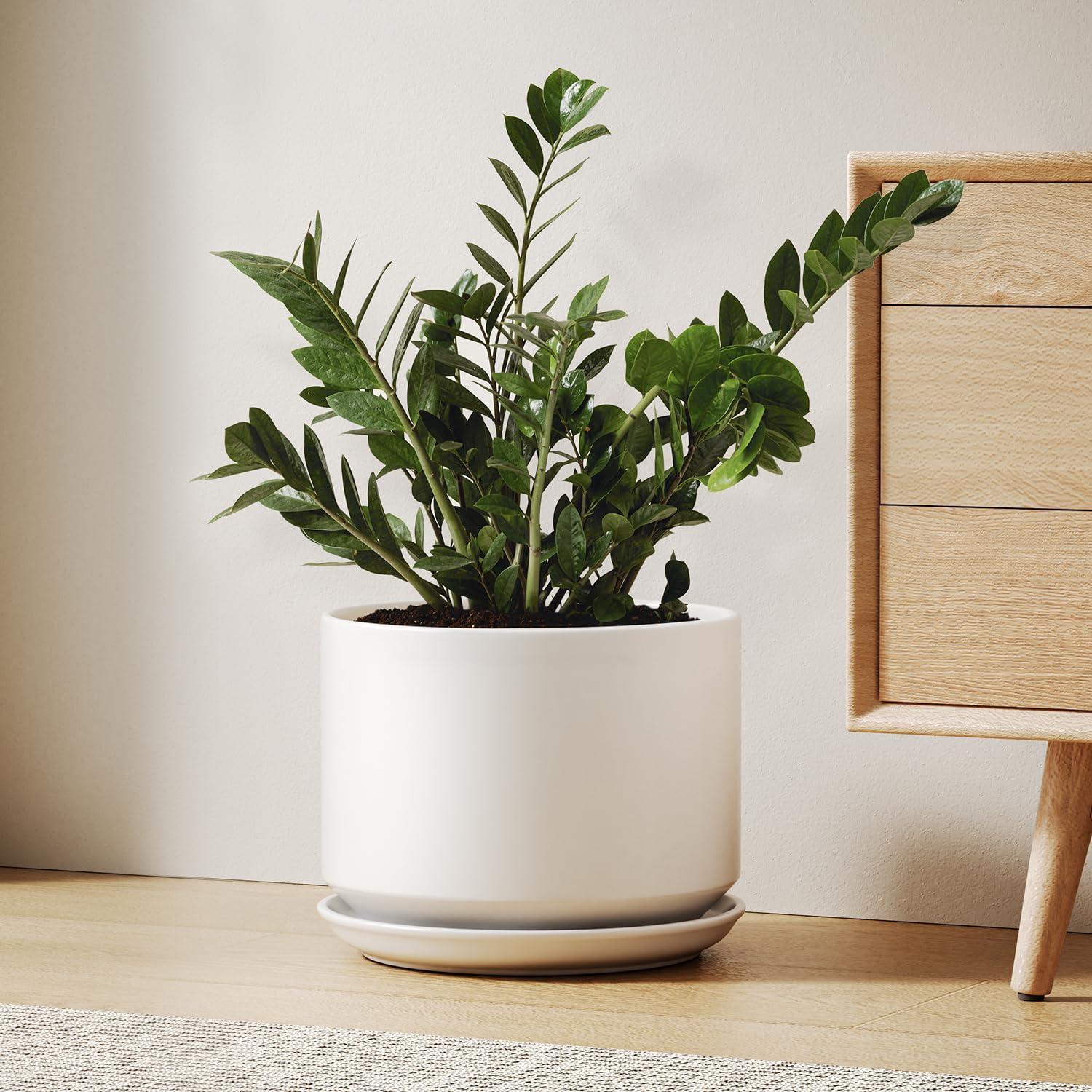 Keramik-blumentopf 25cm Mit Untersetzer, Matt-weiß, Minimalistisch